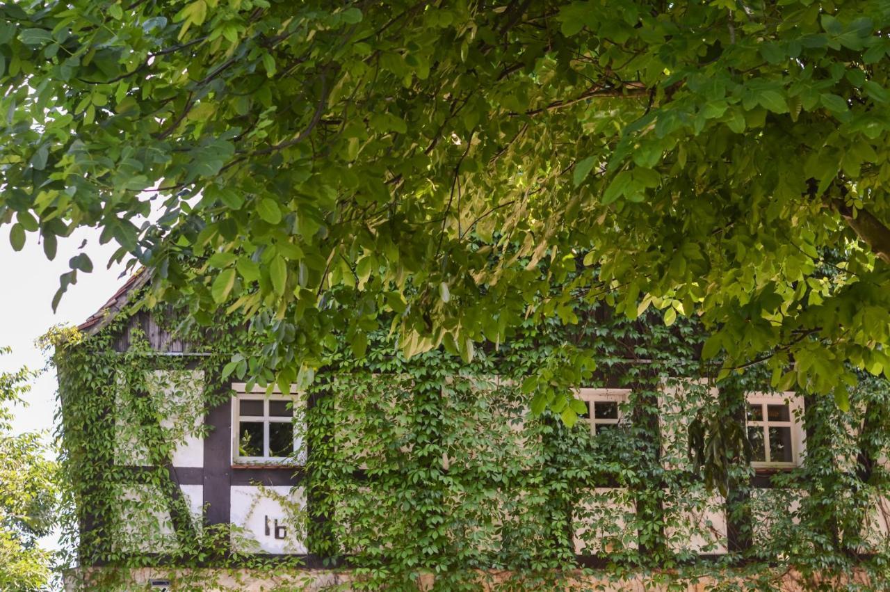 Naturferienwohnung Schopstal Kunnersdorf Экстерьер фото